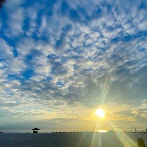 Meet your Posher, Pamela